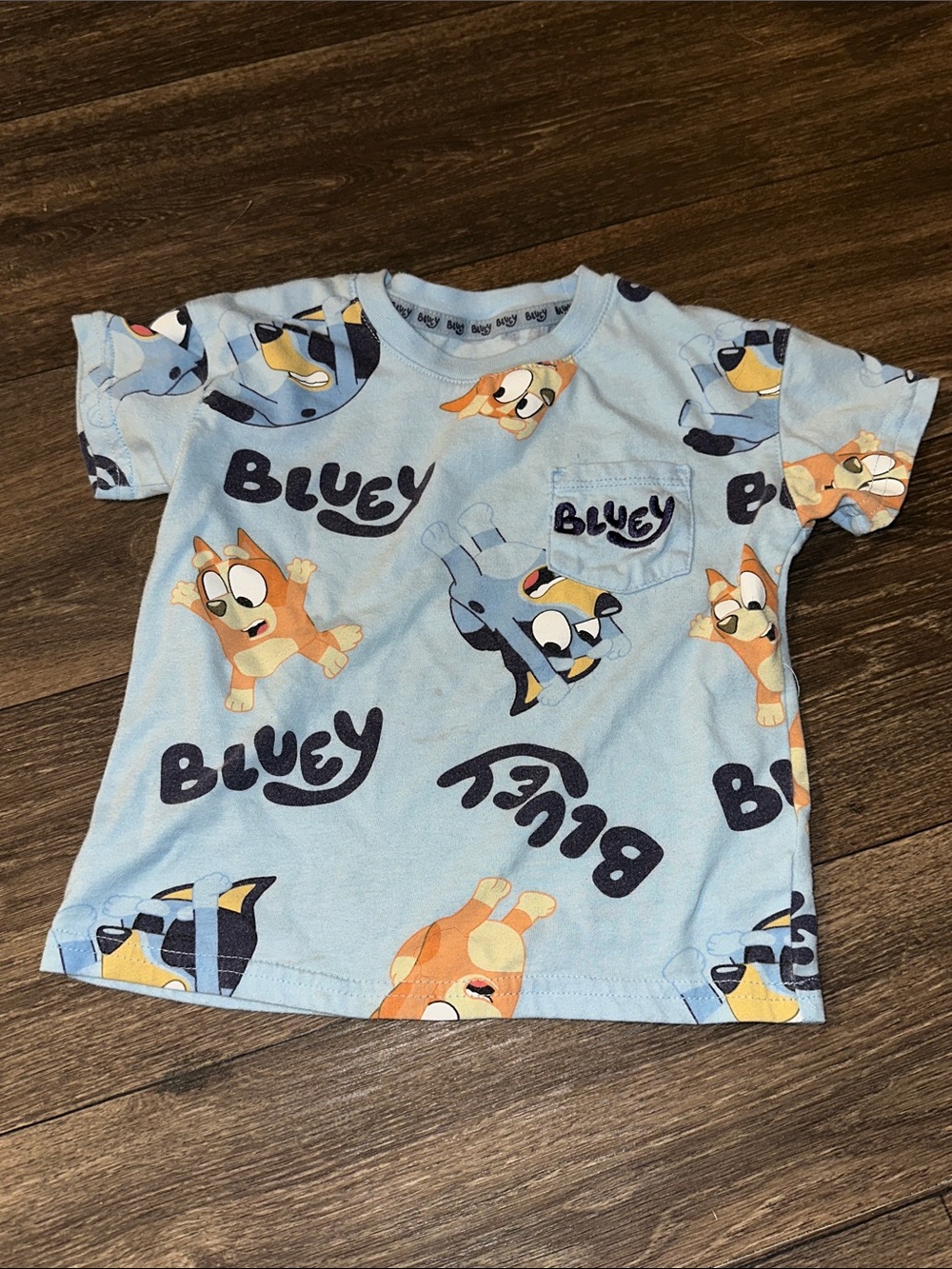 Bluey Light Blue Character Print embroidered pocket tshirt
